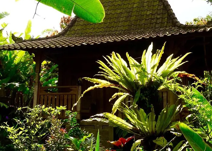 Lodge Bali Mountain Retreat Selemadeg (Bali)