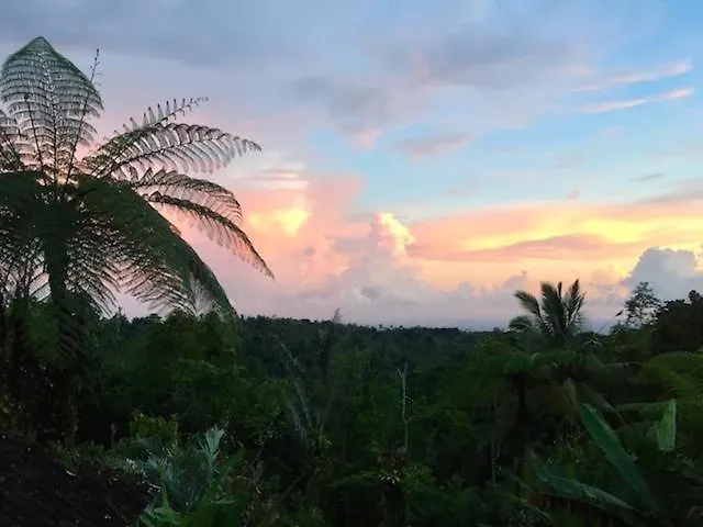 Bali Mountain Retreat Lodge