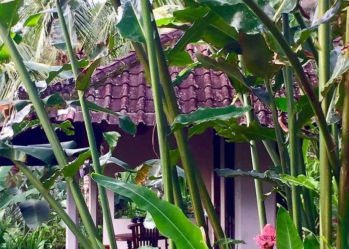 Lodge Bali Mountain Retreat *