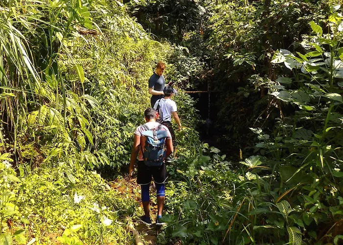 Bali Mountain Retreat Lodge Selemadeg (Bali)