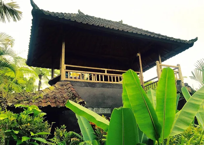 Bali Mountain Retreat